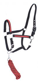 Full Size adjustable nylon halter with 10ft lead #3
